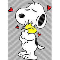 Valentine's Day-QRJ  5544